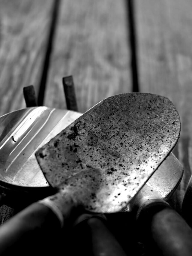 Best Gardening Tools: Enhance Your Home and Garden