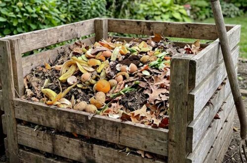 Composting 101: 7 Simple Steps for Beginners