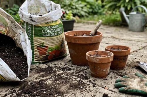 best potting soil for container gardens