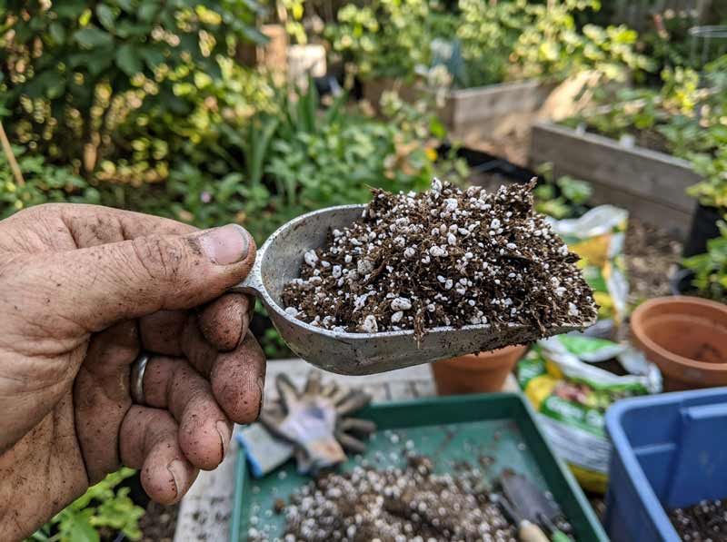 best potting soil for container gardens