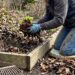 spring garden prep checklist
