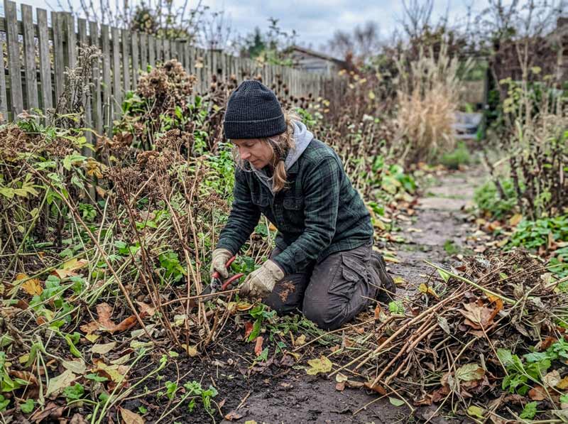 how to winterize your garden