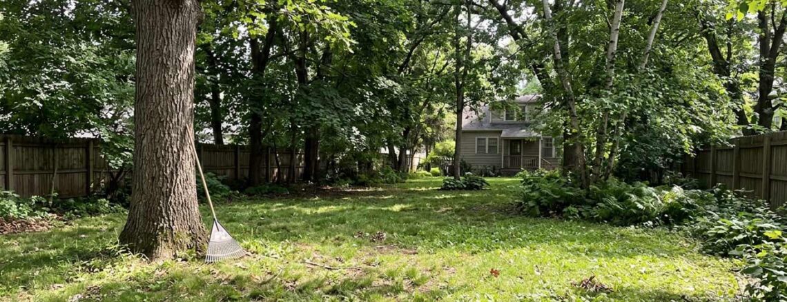 best grass seed for shady lawns