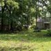 best grass seed for shady lawns