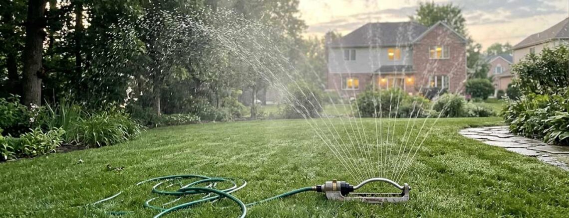 how often to water your lawn
