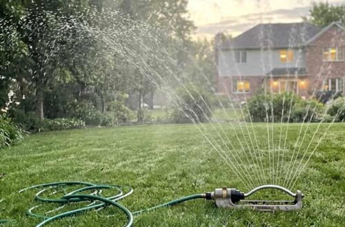 how often to water your lawn